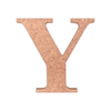 Letter Y